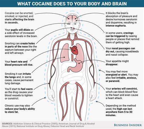 what does cocaine do to the body.